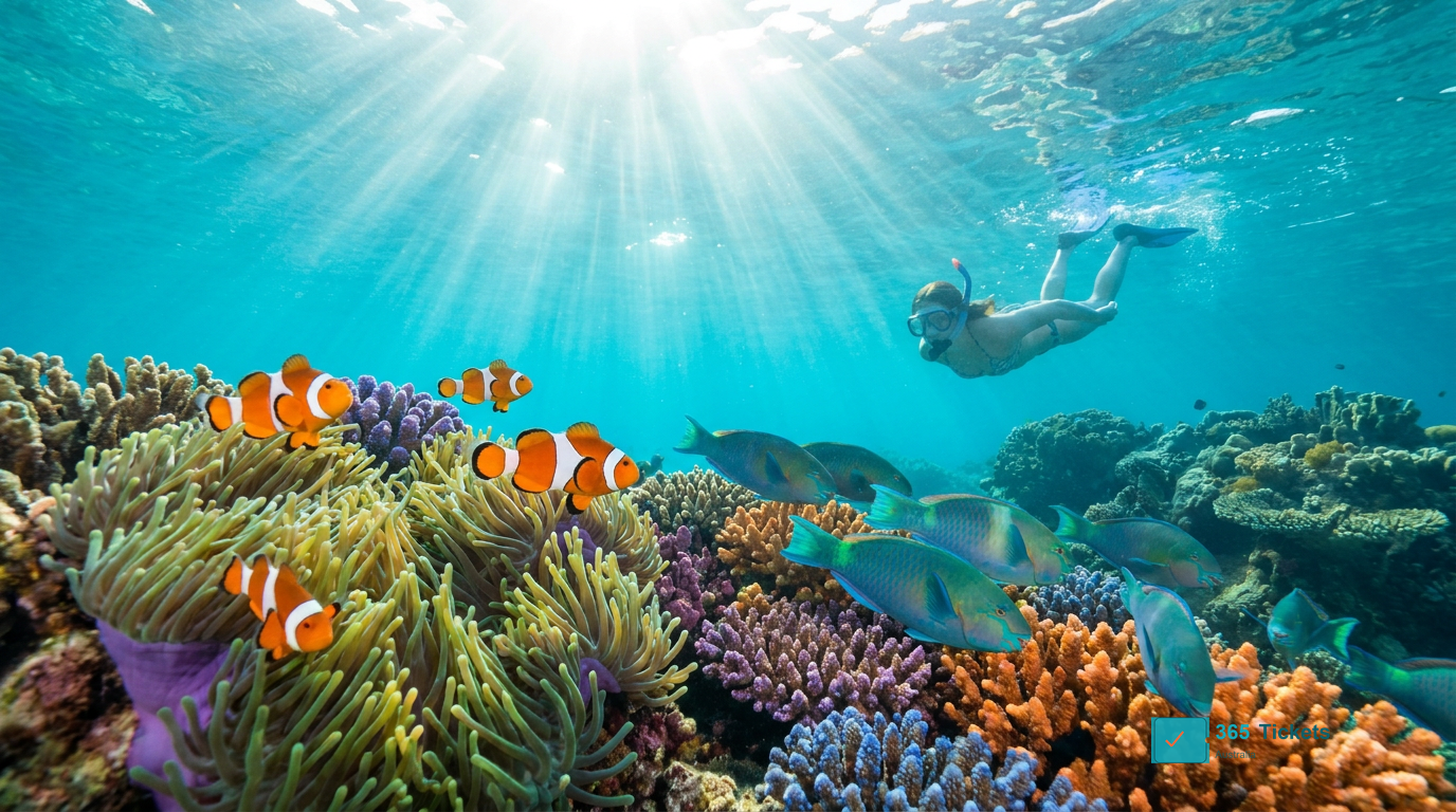 Great Barrier Reef snorkelling near Cairns